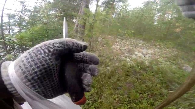 Тихая охота в августе. ч. 2 смотреть онлайн