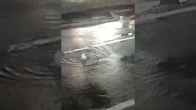 Яблоки падают в небо. Канализация же туда льётся. смотреть онлайн