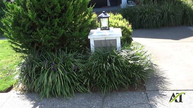 Seattle Hawthorne Hills Lawn Tune with Soil Amendments and Enhanced Lime Treatment Fall 2019 смотреть онлайн