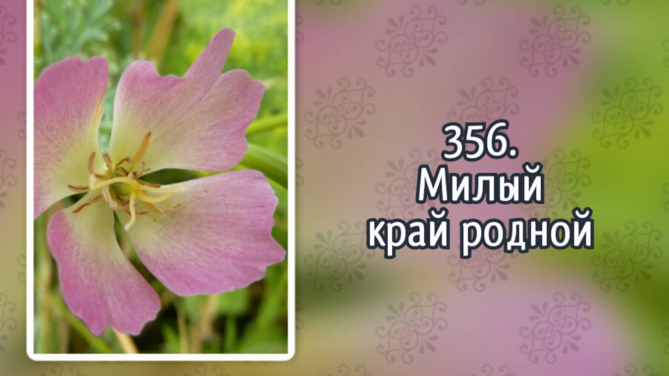 Гимны надежды 356 Милый край родной (-) смотреть онлайн
