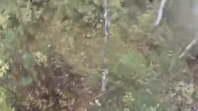 Жесть!!! Случаи на рыбалке! смотреть онлайн