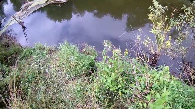 ПОХОД ЗА МОРДОЙ. ПОДВОДНАЯ СЪЕМКА. смотреть онлайн