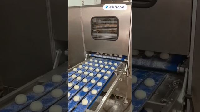 Делитель - округлитель теста шестиручейковый до 12000 штIчас QinLi Китай смотреть онлайн