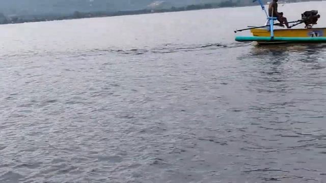 Остров Бали, Ловина, открытый пляж, дельфины, плаваем с дельфинами в океане утром смотреть онлайн