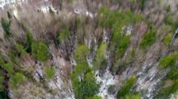 ВИА Песняры - Беловежская пуща