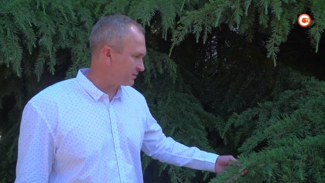Ученые составили cписок растений, подходящих для озеленения Севастополя смотреть онлайн