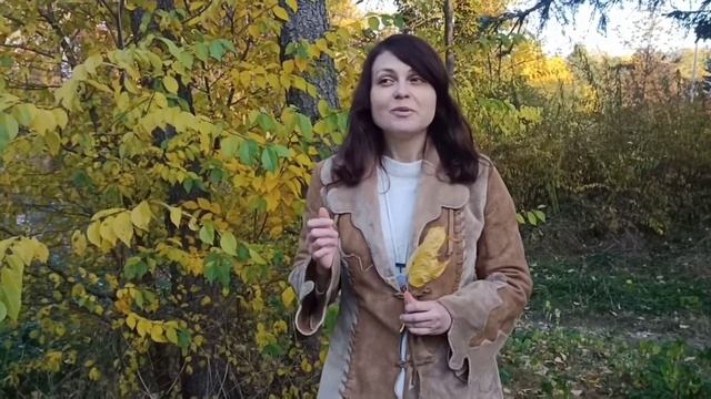 Ната Явилина "Предвкушение", стихи смотреть онлайн