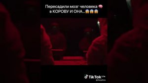 пересадили мозг человека в корову и она 🤯🤯😱they transplanted a human brain into a cow and she 🤯🤯😱