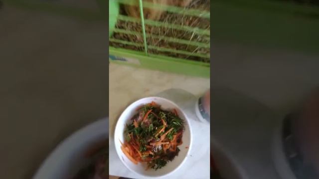 Натуральное кормление французского бульдога смотреть онлайн