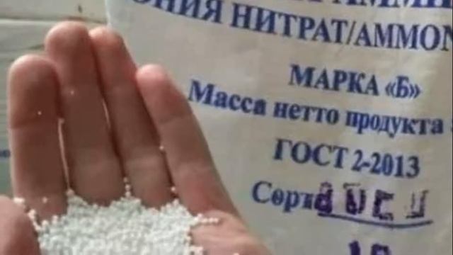 ДЫНЯ ТОРПЕДА МИРЗАЧУЛЬСКАЯ - САМАЯ АРОМАТНАЯ И СЛАДКАЯ ДЫНЯ ВЕСОМ ДО 15 КГ смотреть онлайн