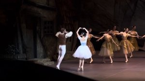 Елизавета Кокорева, Даниил Потапцев (дебют) | Жизель 18.11.2023