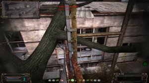 Тайник Котобегемота на дикой территории ОП 2.1