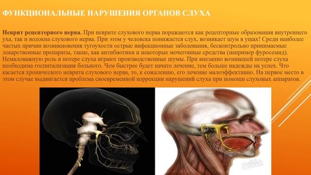 Занятие №4 Объединение: «Человек и его здоровье». смотреть онлайн