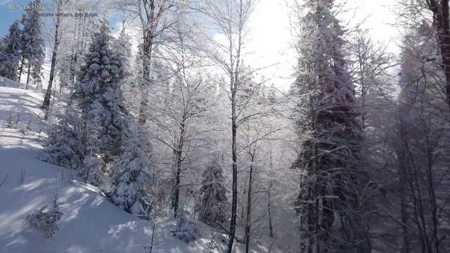 Снегопад. Волшебная Мелодия. Прекрасная музыка для Души. Лучший композитор Сергей Чекалин смотреть онлайн