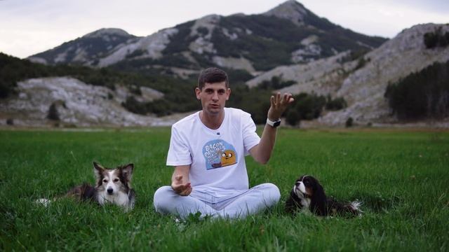 8 ошибок в командах ? Какие ошибки допускают хозяева в обучении собак ? Как щенка учить словам ? смотреть онлайн