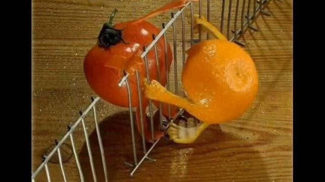 Фестиваль цитрусовых во Франции! смотреть онлайн