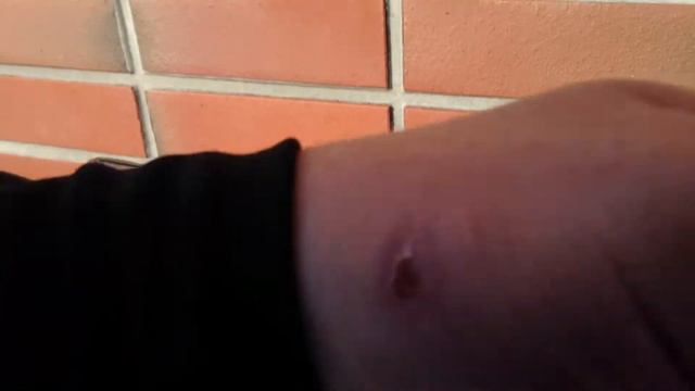 Наш велосипед смотреть онлайн