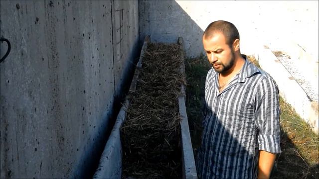 БП_010. Навозный червь. смотреть онлайн