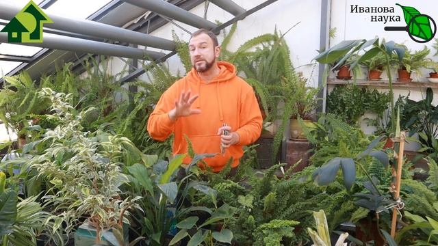 САМОЕ ГЛАВНОЕ - ЭТО НЕРВЫ! Чем успокоить нервы и как это сделать просто! смотреть онлайн