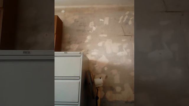 Песня кружит голову (Монатик) смотреть онлайн