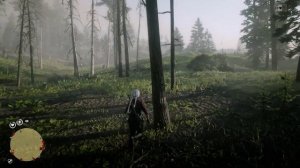 Карта сокровищ Хижина Уотсонов (все места) в Red Dead Redemption 2 Online PC