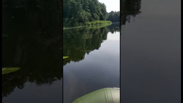 Сплав по реке Суворощь смотреть онлайн