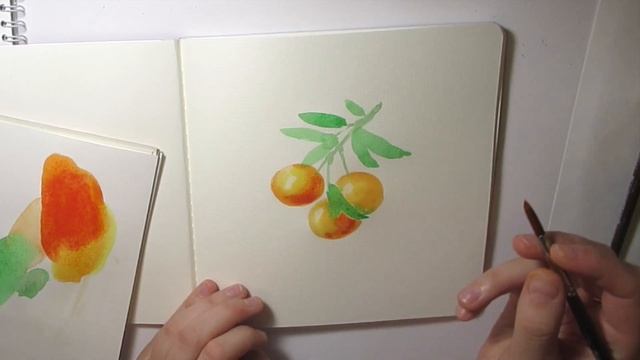 Рисуем Мандарины на ветке акварелью. Уроки рисования с нуля. Урок для новичков смотреть онлайн