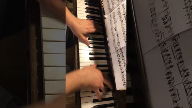 Фрагмент урока Online Tchaikovsky Seasons August Чайковский Август Жатва