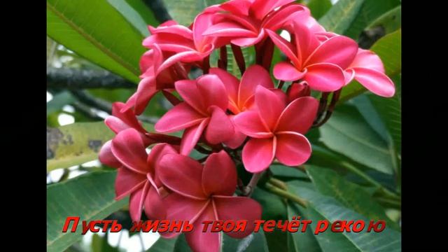 С Днём Рождения, ТАТЕВИК!!! смотреть онлайн