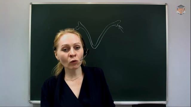 Занятие 33 Птицы Млекопитающие смотреть онлайн