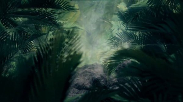 Harmonious Nature Sounds | 432 Hz | Singing Birds | Meditation & Relax Music