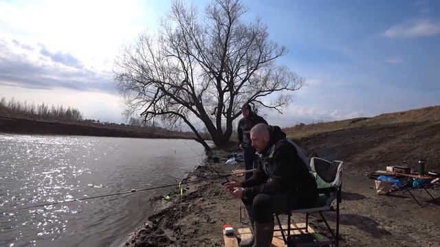 Рыбалка в кругу друзей. Москва река. Пахра река. Вновь лещ. Встреили добрую собаку. Панамафиш #8 смотреть онлайн
