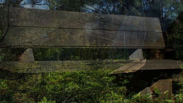 PIANO\ ПИАНИНО\ Beautiful music\ ЗВУКИ ЛЕСА\ ПЕНИЕ ПТИЦ\ НЕЖНАЯ МУЗЫКА на фортепиано\ ВОСПОМИНАНИЯ смотреть онлайн