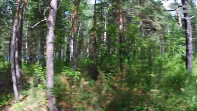 Топ Тюмень - «Утро с Вами» 04.08.2017 смотреть онлайн