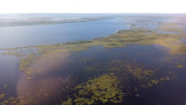 Река Таз смотреть онлайн