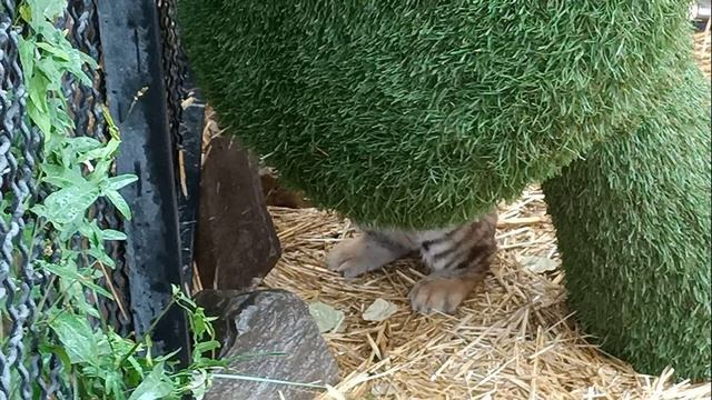 Парк Тайган. Крым