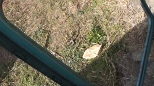 Часть 1 Восстановление большой кабины УК для трактора МТЗ-82