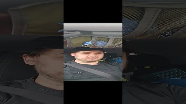 Птица Небесная