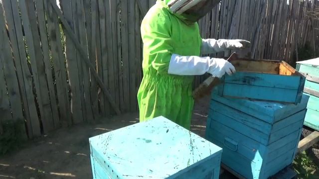 Откачка Мёда С Липы/Ставить Ли Пластины От Клеща?/Как Сработает Пластиковая Рамка? смотреть онлайн