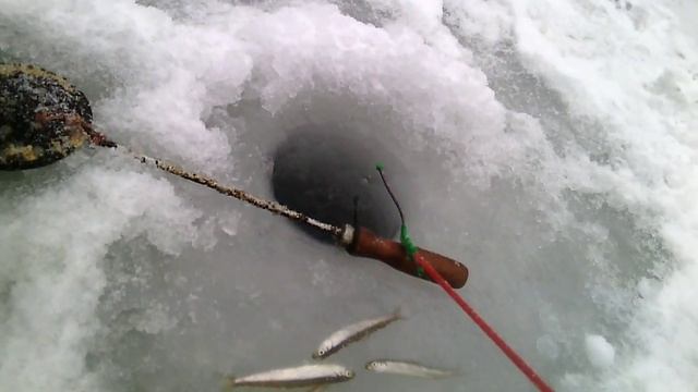 рыбалка в приморском крае п.каменка,ловля корюшки 2015год смотреть онлайн