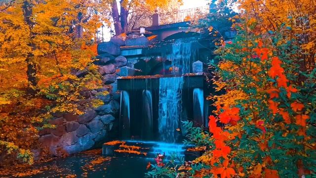 "Золотом листьев" Дунаева Таня смотреть онлайн