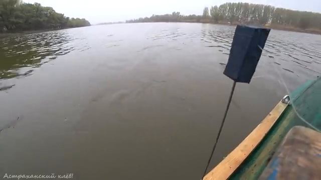 КРУПНАЯ ВОБЛА, подЛЕЩик! Подпуск или лесенка? Ход ВОБЛЫ! Астраханская ВОБЛА! Рыбалка Астрахань!