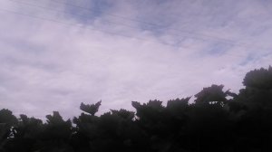 VID_20240905_081250.mp4