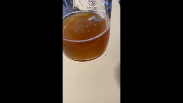 Boletus pinophilus - mycelium (liquid culture) смотреть онлайн