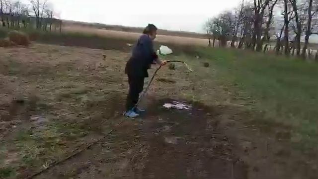 Сажаем картошку в солому смотреть онлайн