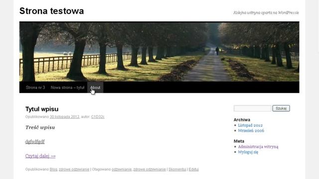 D - Jak Dodać Własne Menu - Wordpress - Jak Zrobić Bloga, Stronę Internetową смотреть онлайн