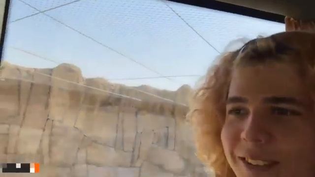 ЖОЖО И ПАРАДЕЕВИЧ В ЗООПАРКЕ / ИРЛ СУЕТА В ДУБАЕ смотреть онлайн