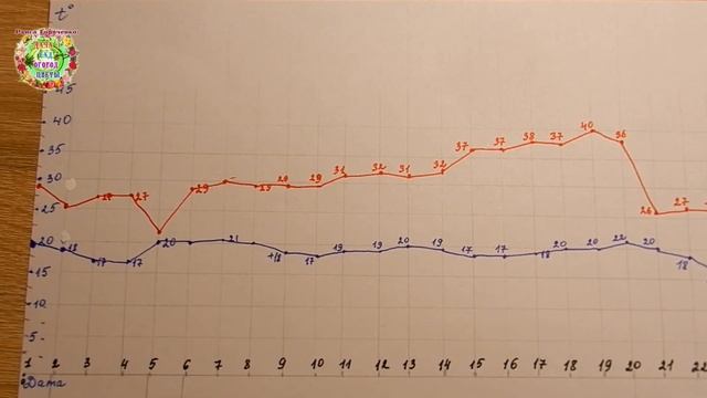 Агрогороскоп выращивания горошка, фасоли, овощных бобов в 2022 году смотреть онлайн