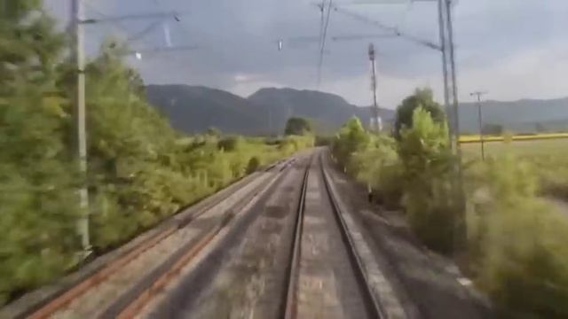 Animals Hit By Train | Compilation Videos | Animals Vs Train | смотреть онлайн