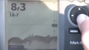 Эхолоты Lowrance Mark 5x DSI и Elite 5 DSI - тест на воде